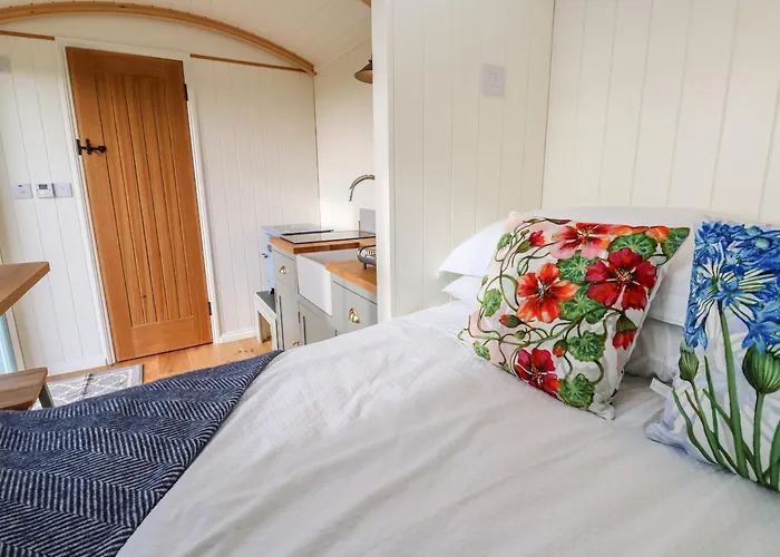 Lower Trewern Shepherds Hut